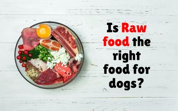 Raw Dog Food