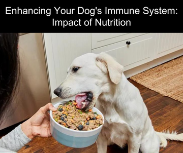 dog immunity booster