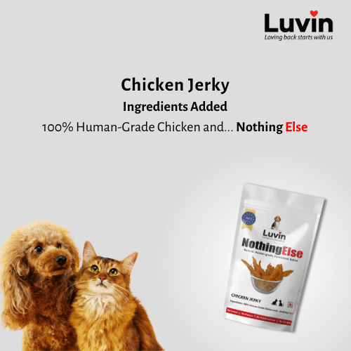 Chicken Treats Combo Pack for Dogs and Cats | 1 Chicken Sattu Sticks and 1 Chicken Jerky - luvin