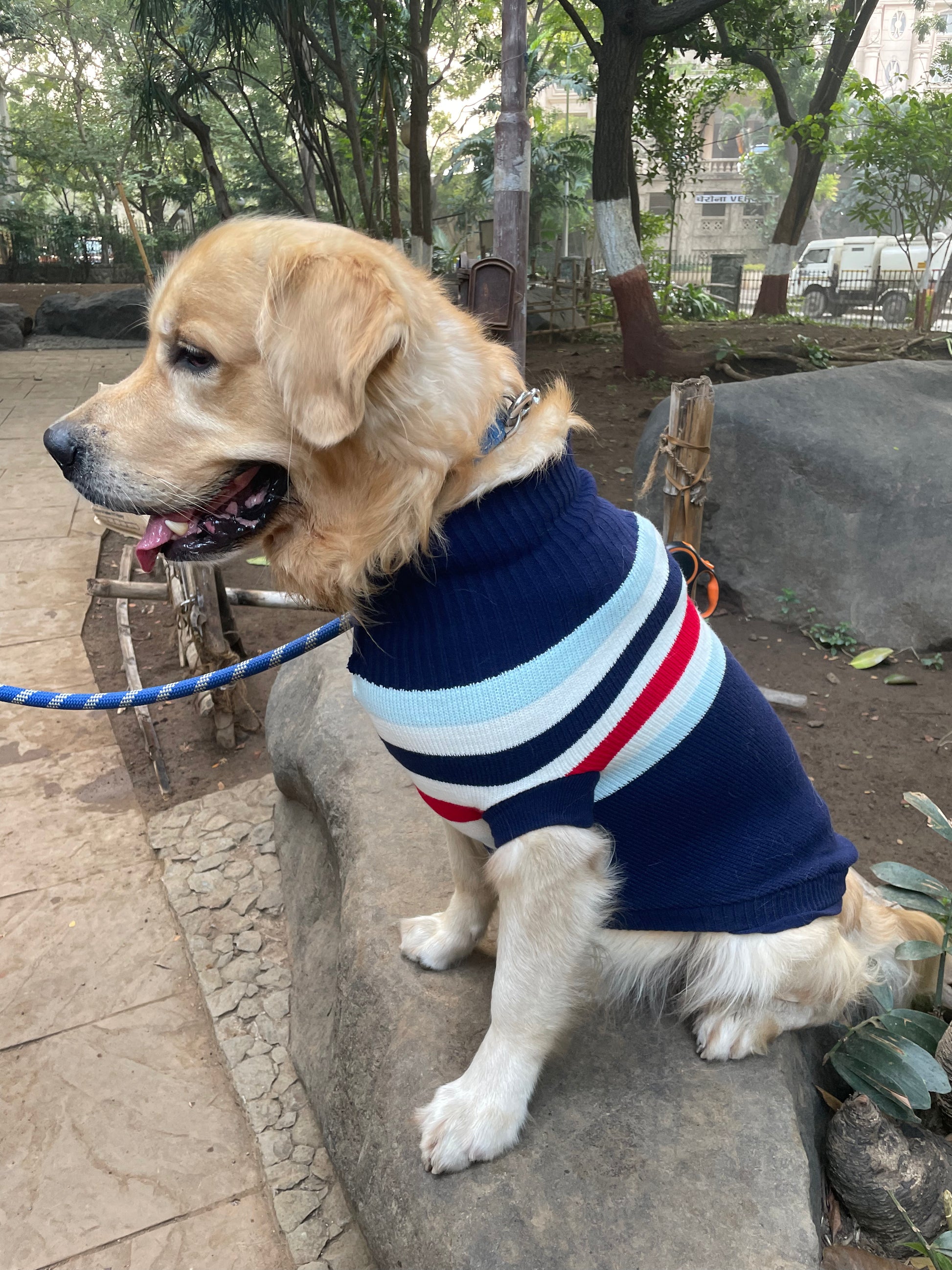 Luvin Knitted Sweater For Dogs & Cats - luvin
