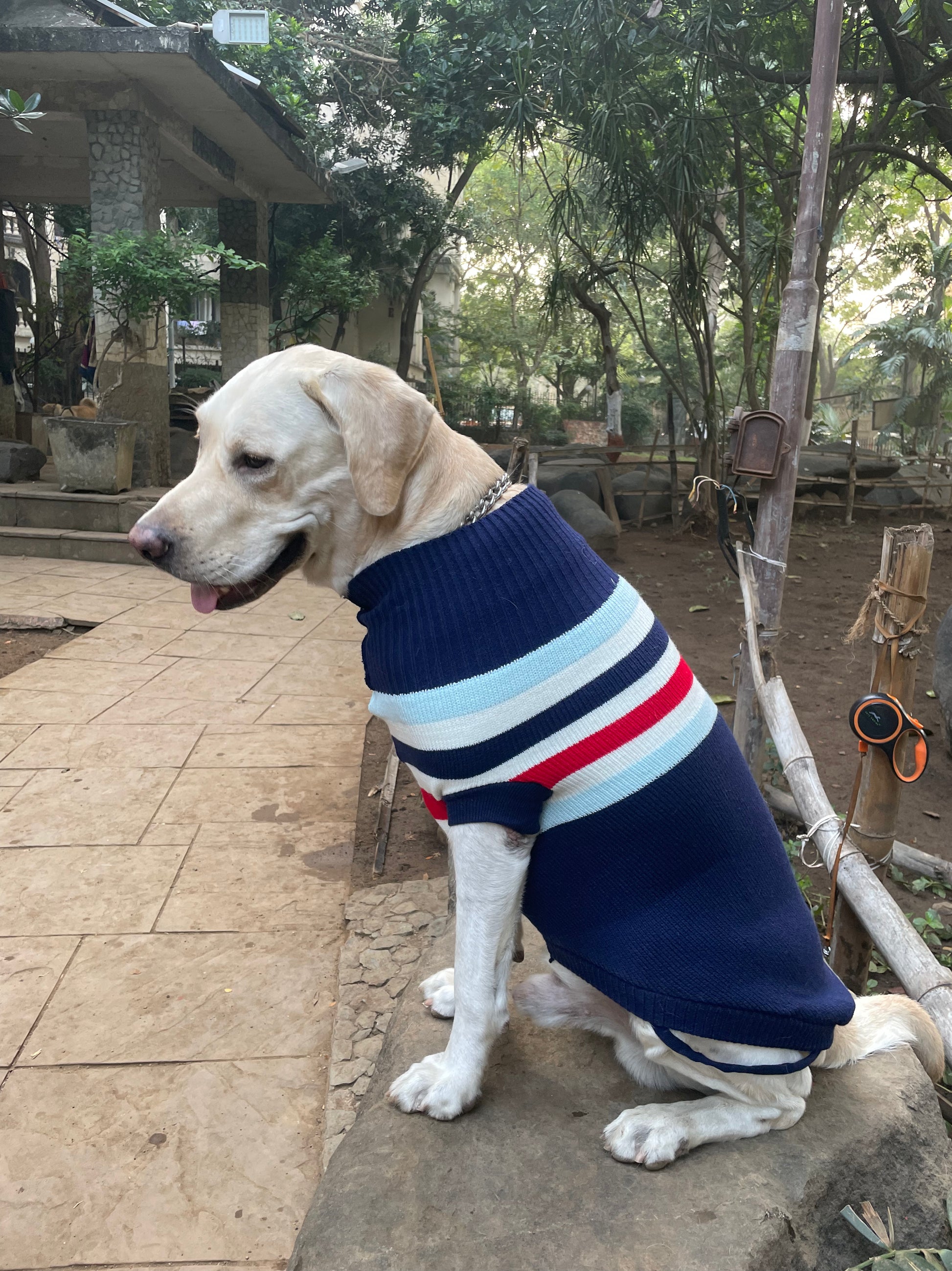 Luvin Knitted Sweater For Dogs & Cats - luvin