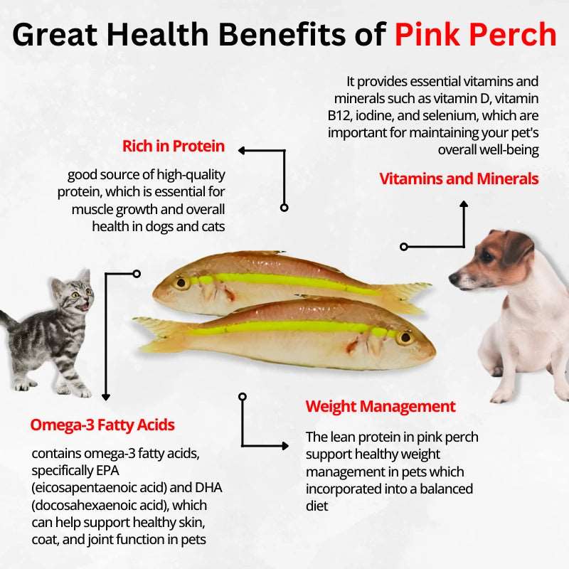 Luvin Nothing Else Pink Perch Treats for Dogs & Cats