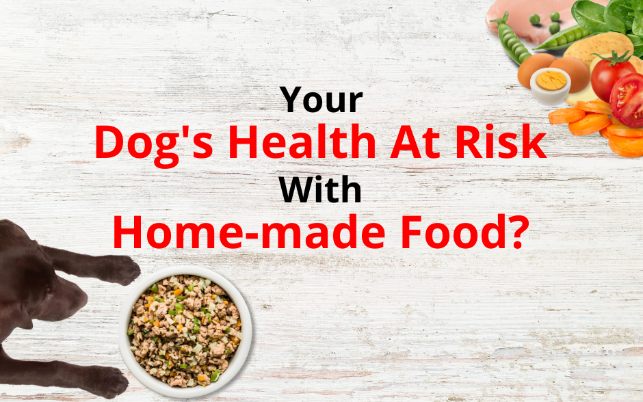 dog food nutrition