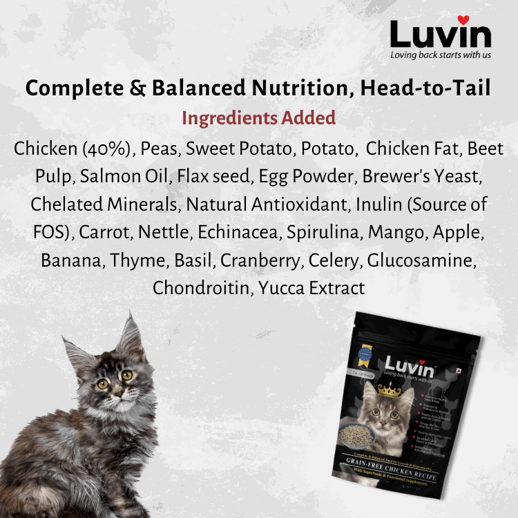 LUVIN Premium Cat Food - luvin