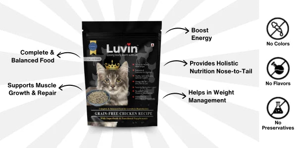 Balanced Nutrition Best Dry Cat Food For Weight Loss Hill's Ideal