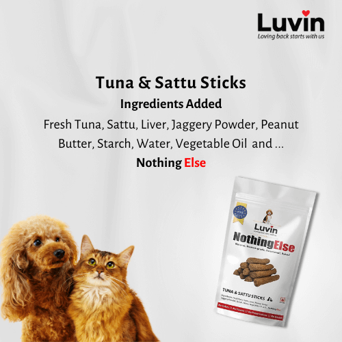 Tuna Treats Combo Pack (1 Tuna Sattu + 1 Tuna Jerky) for Dogs and Cats - luvin