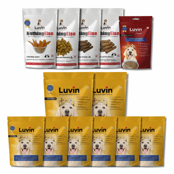 Large Adult Dog Food & Treat Combo - Bi-Weekly Pack