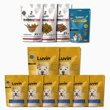 Mid & Small Adult Dog Food & Treat Combo