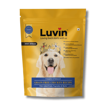 Luvin Adult Premium Dry Dog Food | Grain-Free Chicken Recipe with Antioxidants, Fruits, Vegetables & Herbs