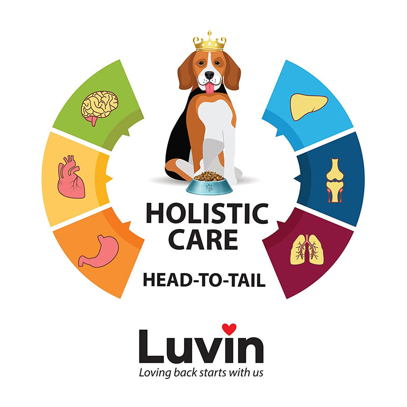 Luvin Premium Dog Food 
