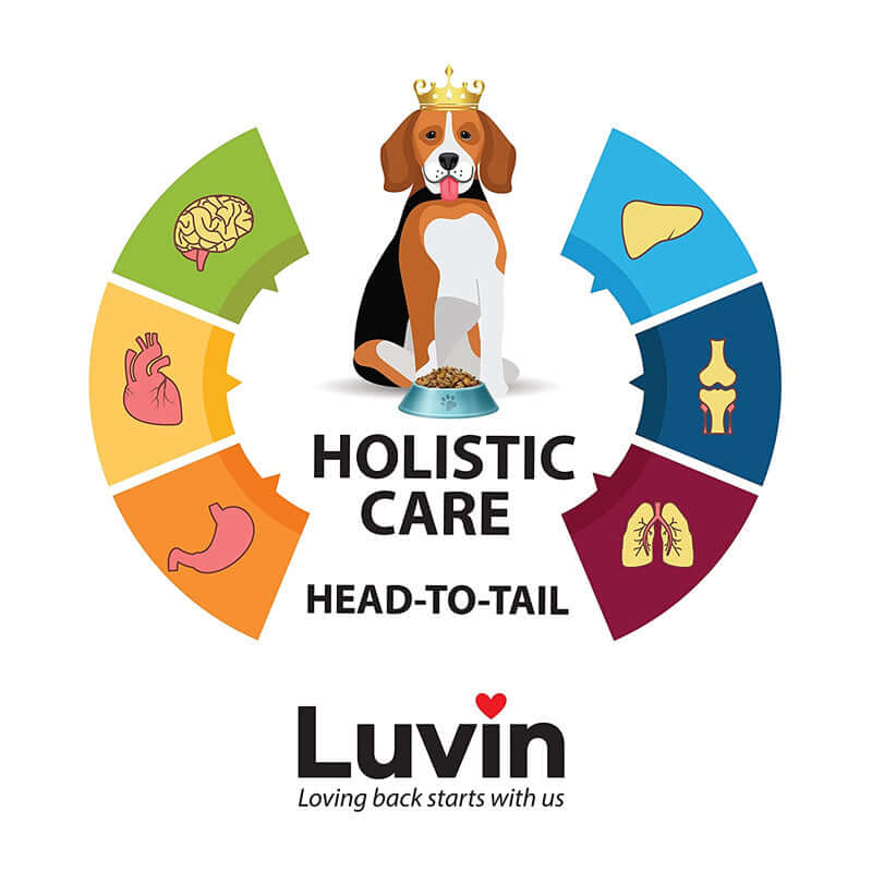 Luvin Adult Premium Dry Dog Food 
