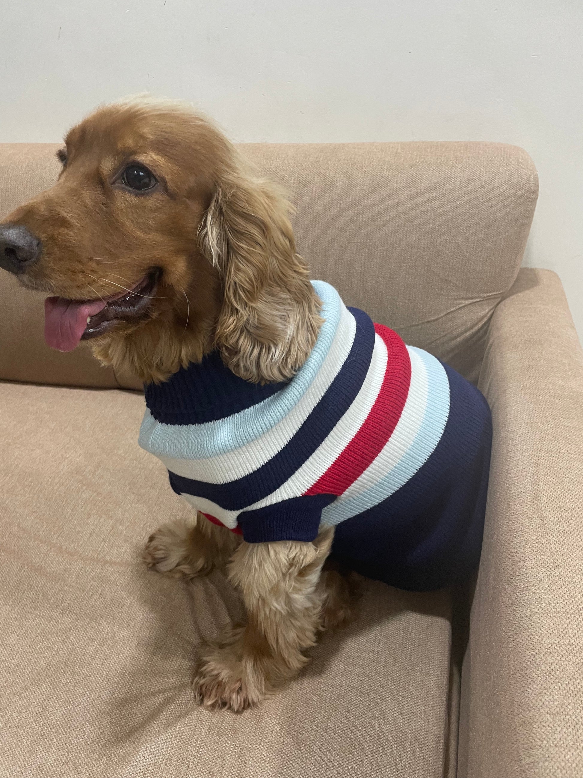 Luvin Knitted Sweater For Dogs & Cats - luvin