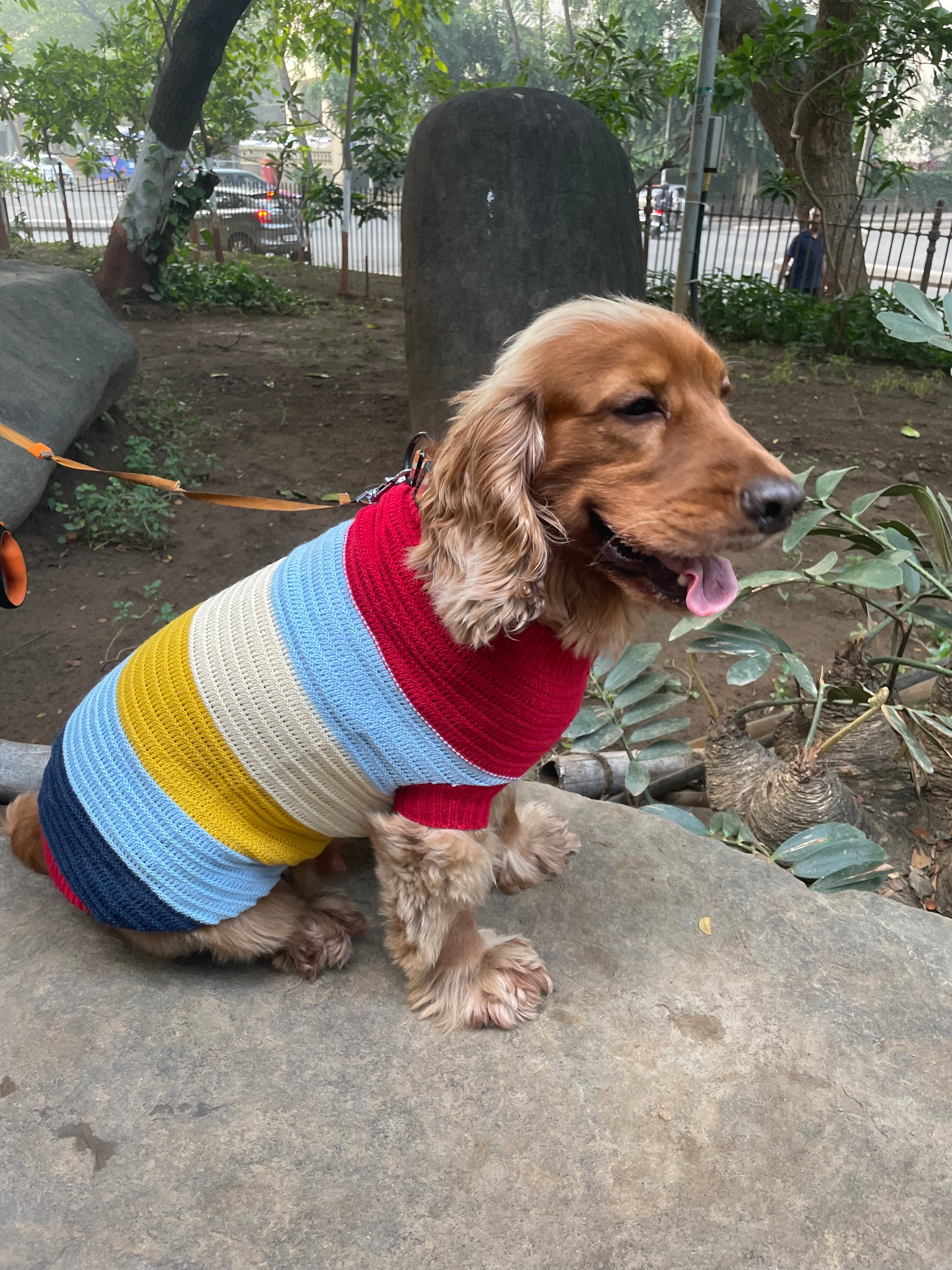 Luvin Multi-Coloured Striped Knitted Woollen Pullover Sweater for Dogs & Cats - luvin