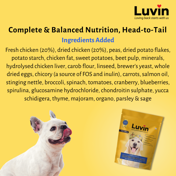 Adult Premium Dry Dog Food  Ingredients 