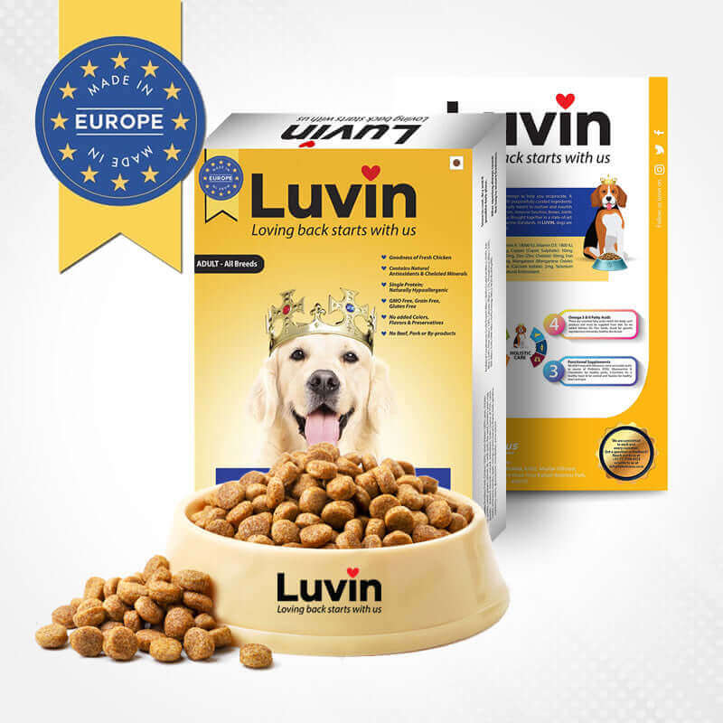 Luvin Adult Premium Dry Dog Food - 800Gms - luvin