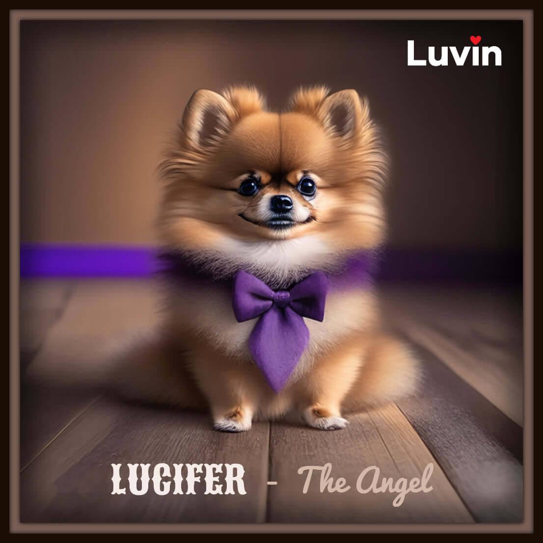 Digital portrait of a cute Pom sitting upright on a wooden floor with a nice purple bow