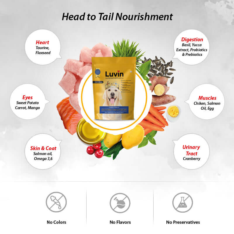 Adult Premium Dry Dog Food  benefits 