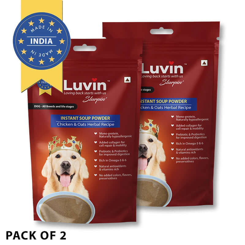 Large Adult Dog Food & Treat Combo - Monthly Pack - luvin