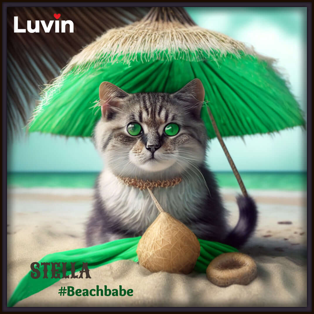 Digital Portrait of a cute Cat sitting under an umbrella on a beautiful beach
