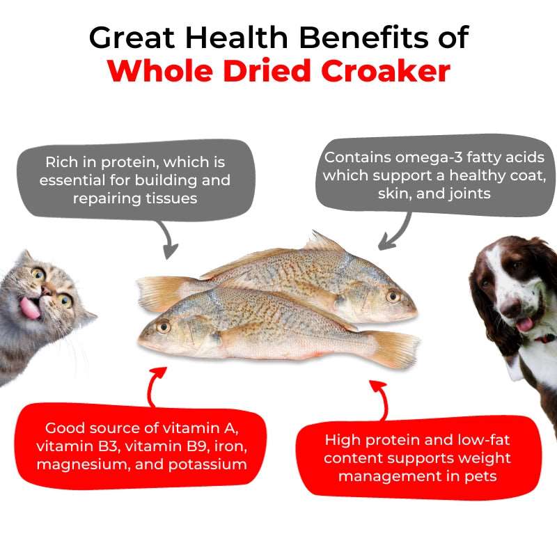Luvin Croaker Treats for Dogs & Cats