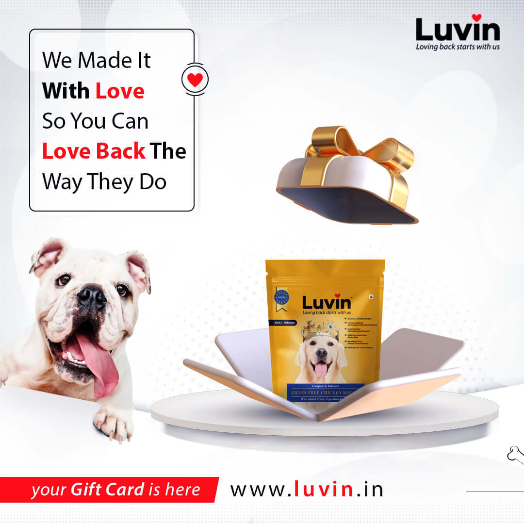 LUVIN- Loving back card
